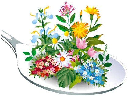 rem�des du jardin !