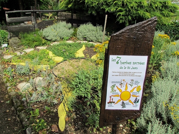 herbes sacr�es de la St Jean au jardin du G�te La Source
