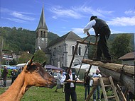 St Aupre: la foire aux ch�vres