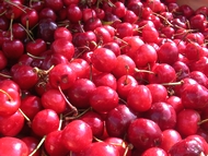 Moirans,f�te de la cerise.
