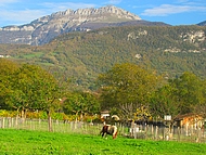 G�te La Source, la campagne � quelques m�tres!