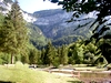 un �crin de verdure d'une rare beaut�.