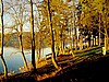 Bois d'amour. bel espace am�nag� avec tables de pique-nique.