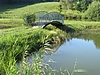 Etang des Chartreux de St Aupre. Un bijou pos� dans l��crin d�une petite prairie.