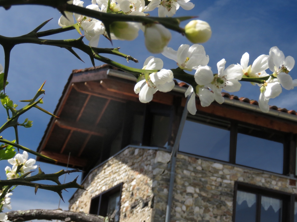le g�te en d�cor de printemps. Clic pour visiter !